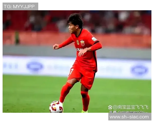 中国足球球员身价排行榜解析及未来潜力球员预测 中国足球球员身价排行榜解析及未来潜力球员预测