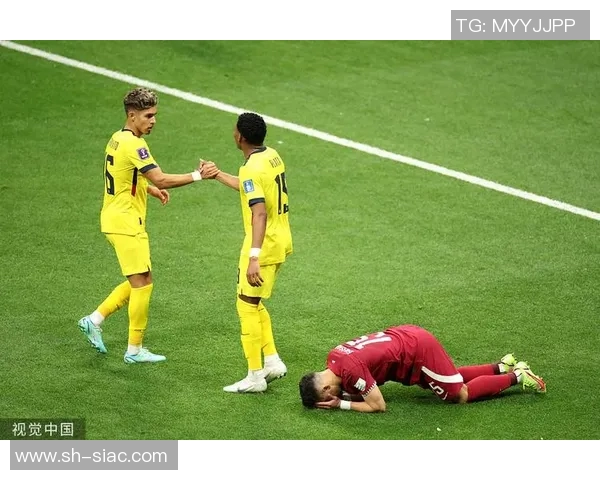 卡塔尔意大利足球明星的辉煌旅程与职业成就探索 卡塔尔意大利足球明星的辉煌旅程与职业成就探索