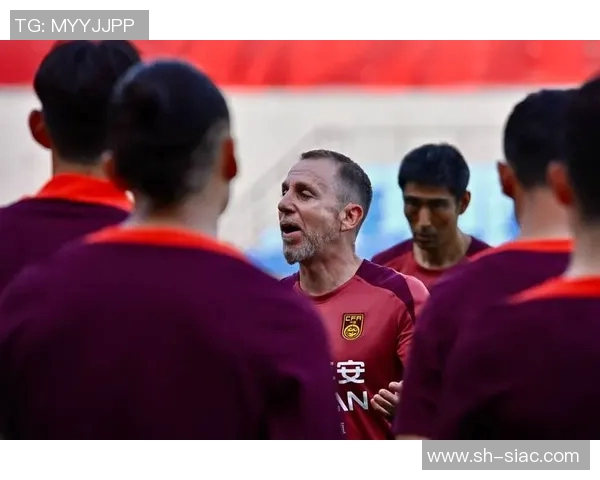 让人头疼的国足球星：从期待到失望的漫长旅程