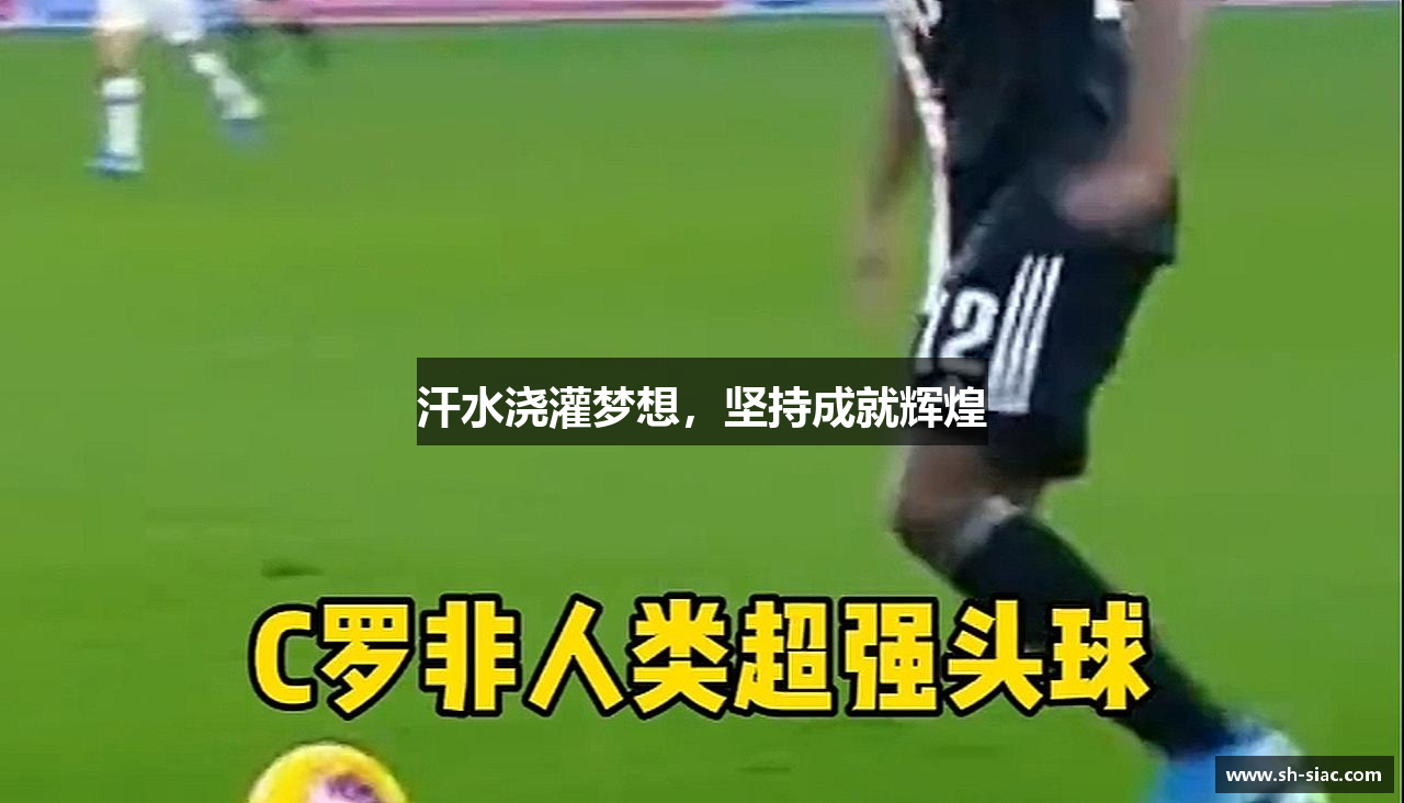 汗水浇灌梦想，坚持成就辉煌
